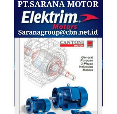 Jual Teco Electric Motor, jual Tatung Electric Motor, jual Elektrim Cantoni Electric Motor