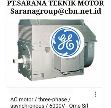 Jual Teco Electric Motor, jual Tatung Electric Motor, jual Elektrim Cantoni Electric Motor