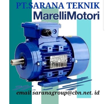Jual Teco Electric Motor, jual Tatung Electric Motor, jual Elektrim Cantoni Electric Motor
