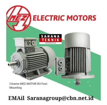 Jual Teco Electric Motor, jual Tatung Electric Motor, jual Elektrim Cantoni Electric Motor