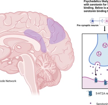 A visual representation of the human brain on psychedelics