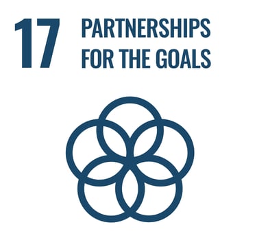 SDG Goal 17 – Partnerships for the Goals: Strengthen the means of implementation and global partnerships