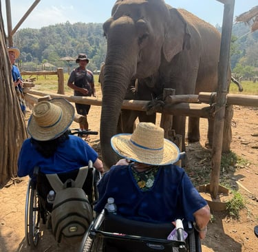Accessible Thailand two wheelchair users interacting with elephants in a sanctuary