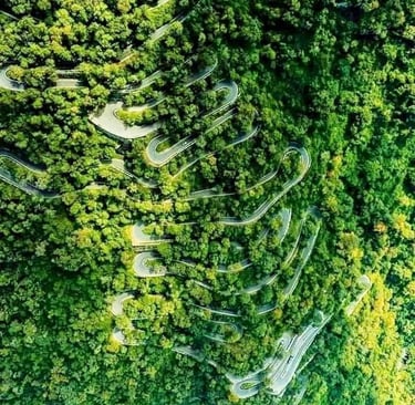 Scenic drive with multiple hairpin bends on the way to Yercaud, perfect for hill station tours.