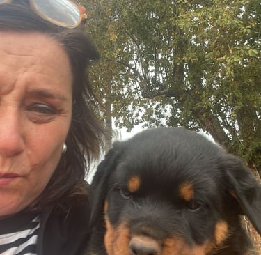 rottweiler breeder