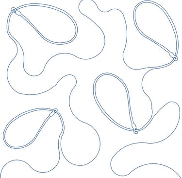 lasso Vickie Malaski