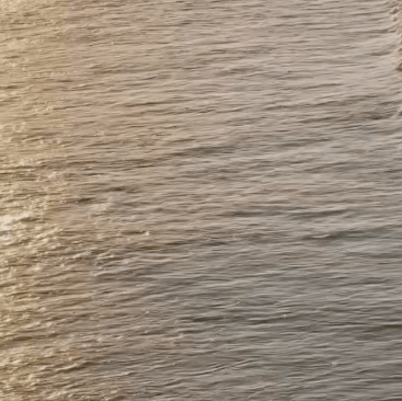 Arvia Villa Koala Park on the doorstep of the best of the Gold Coast's beaches