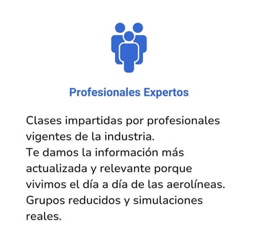 Profesionales Expertos de aerolíneas, grupos reducidos, simulaciones reales.Crew Pass Alicante