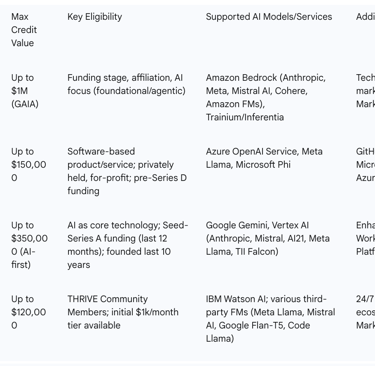 Table 2: Comparative Analysis of Major Cloud Provider AI Startup Credit Programs