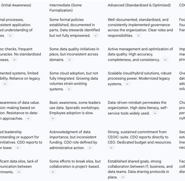 Table: Organizational Data Maturity & CDO Readiness Checklist