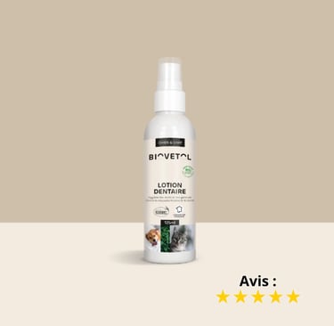 Flacon de lotion dentaire pour l’hygiène des dents et des gencives d'animaux