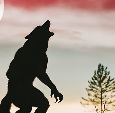 Werewolf howling at the moon representing the Monster Edition of Trivia from the Grave