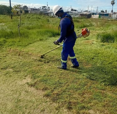 grass cutting cape town