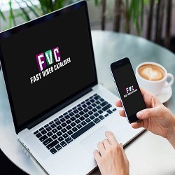 CritiqoNet review about Vidine