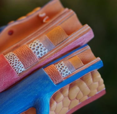 Coronary Artery Disease | CritiqoNet