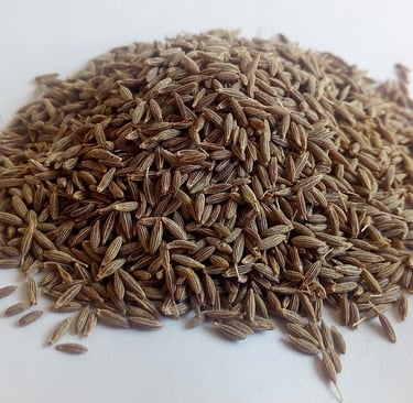 Cumin Seeds | Critiqoet