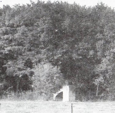 Mausolée de Limoy (1920 ?) aujourd'hui disparu