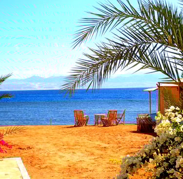 Uitzicht op de strandbloemen en de zee in Egypte   