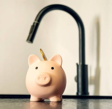 Ahorro con osmosis inversa