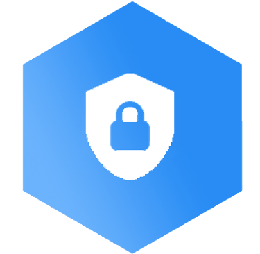 Security | RealVNC | Evolve Tech