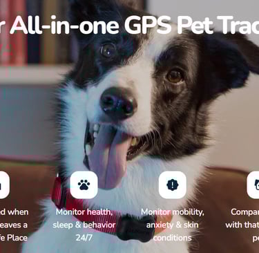 Fit Bark GPS tracker