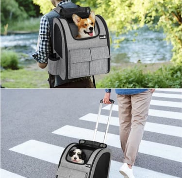 Pecute Pet Carriers
