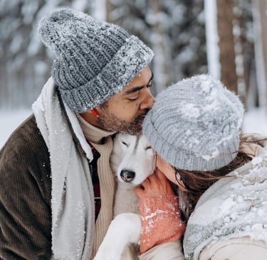 Winter Immune Boosters for Pets