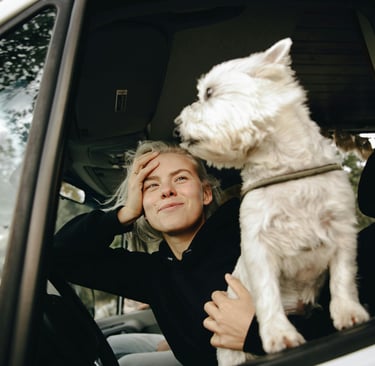 road trip with a pet