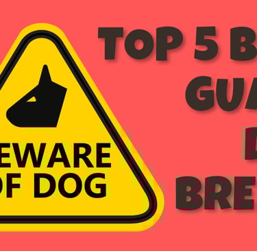 top 5 best guard dog breeds