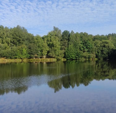 Lake Exclusive Carp Fishing Holiday in France for 7, 8 or 9 nights. Drive, Drive and Survive, Fly and Hire, Food Package