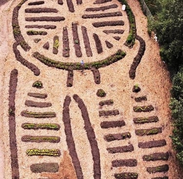 ecostructure canada