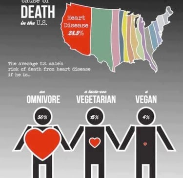 Compare Omnivore, Vegetarian, Vegan