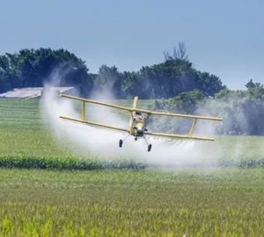 Plane spaying poison on our fields