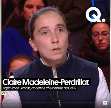 Claire Marie-Perdrillat. Quotidien