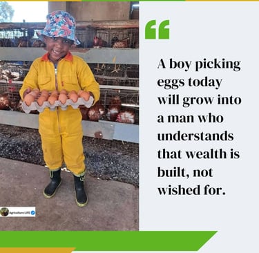 A boy holding a crate of eggs