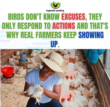 Poultry Farmer