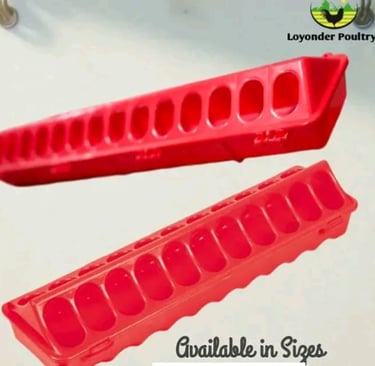 Plastic Feeding trough
