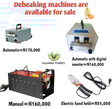 Debeaking machine