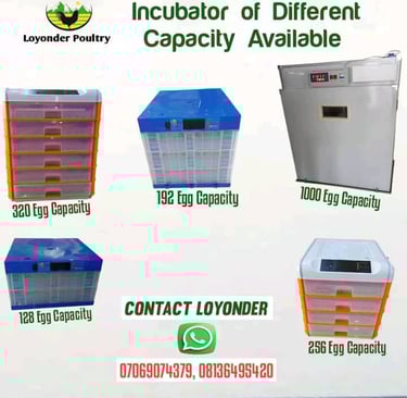 Incubators of different sizes