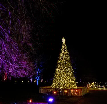 Luminate Christmas Tree