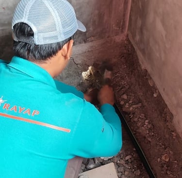 Anti rayap di Tangerang