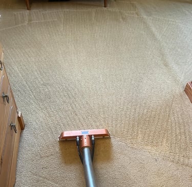 Steam carpet cleaning removing dirt from fibers