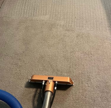 Professional carpet cleaning service in Denver CO
