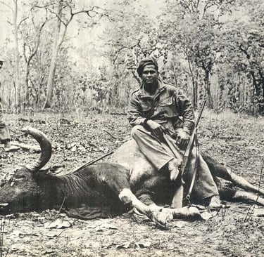 Last Photo of a Kouprey