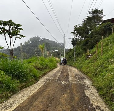 coffee farm in colombia