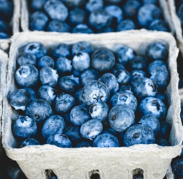 blueberries in a carton