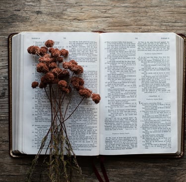 a bible with dried flowers on it