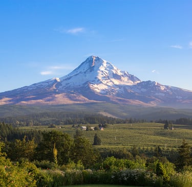 Mount Hood in the Afternoon