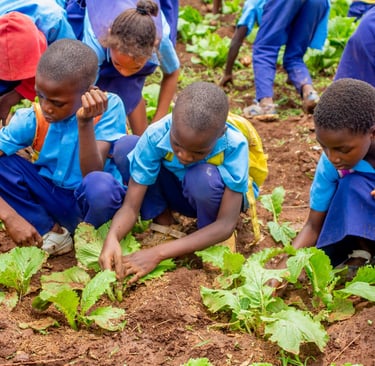 kids picking vegetables in Malawi