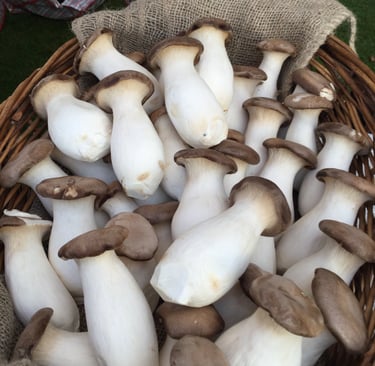 Big mushrooms - very tasty